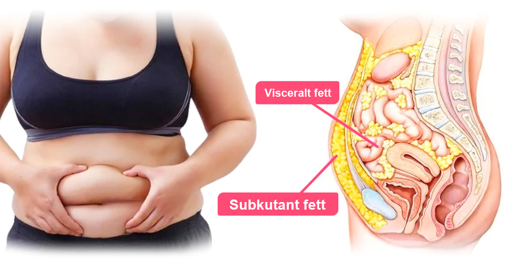 𝑷𝑬𝑨𝑹𝑳𝑴𝑶𝑶𝐍™ Formande shorts i is-silke med jonfibrer för återhämtning 👨‍⚕️Fettförbränning, huduppstramning, främjar cirkulation och lymfdränage för holistisk hälsa
